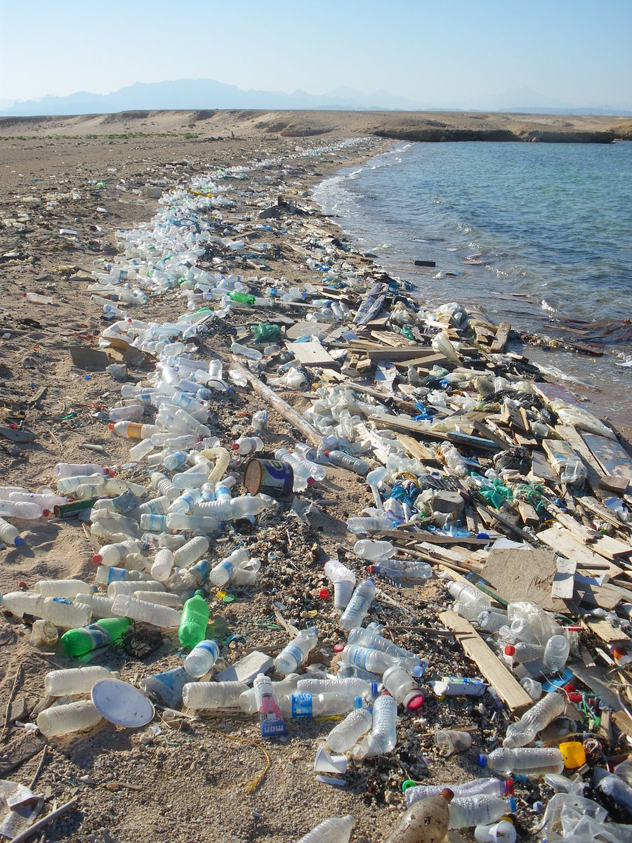 Beach in Sharm el Naga03